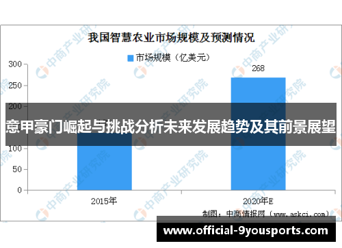 意甲豪门崛起与挑战分析未来发展趋势及其前景展望