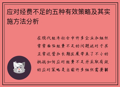应对经费不足的五种有效策略及其实施方法分析