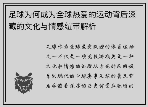 足球为何成为全球热爱的运动背后深藏的文化与情感纽带解析