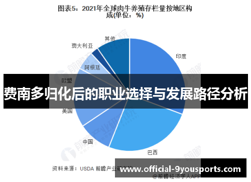 费南多归化后的职业选择与发展路径分析 费南多归化后的职业选择与发展路径分析